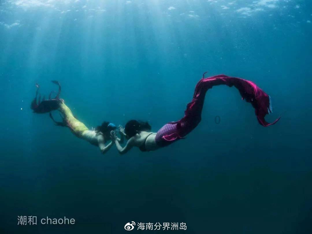 逃出绿色公寓